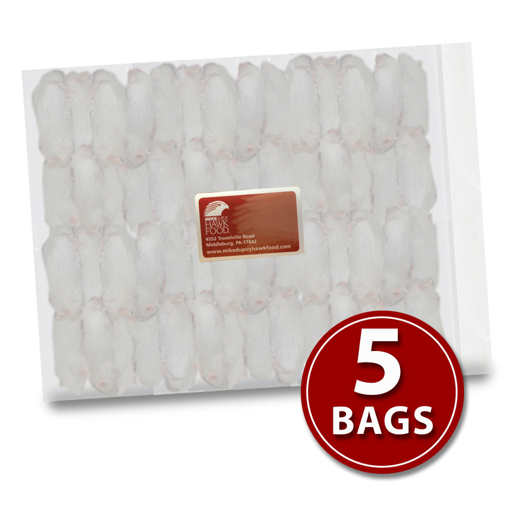 MIce-Adult-50 (5 Bags)