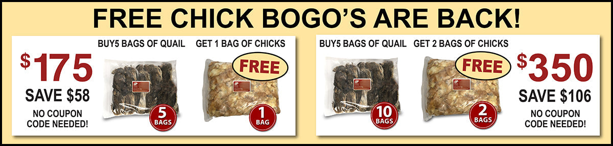 Hawk Food