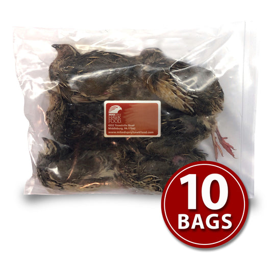 Breeder Quail - 10 Bags