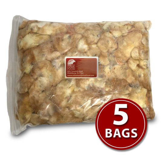 Day-Old Chicks - 5 Bags