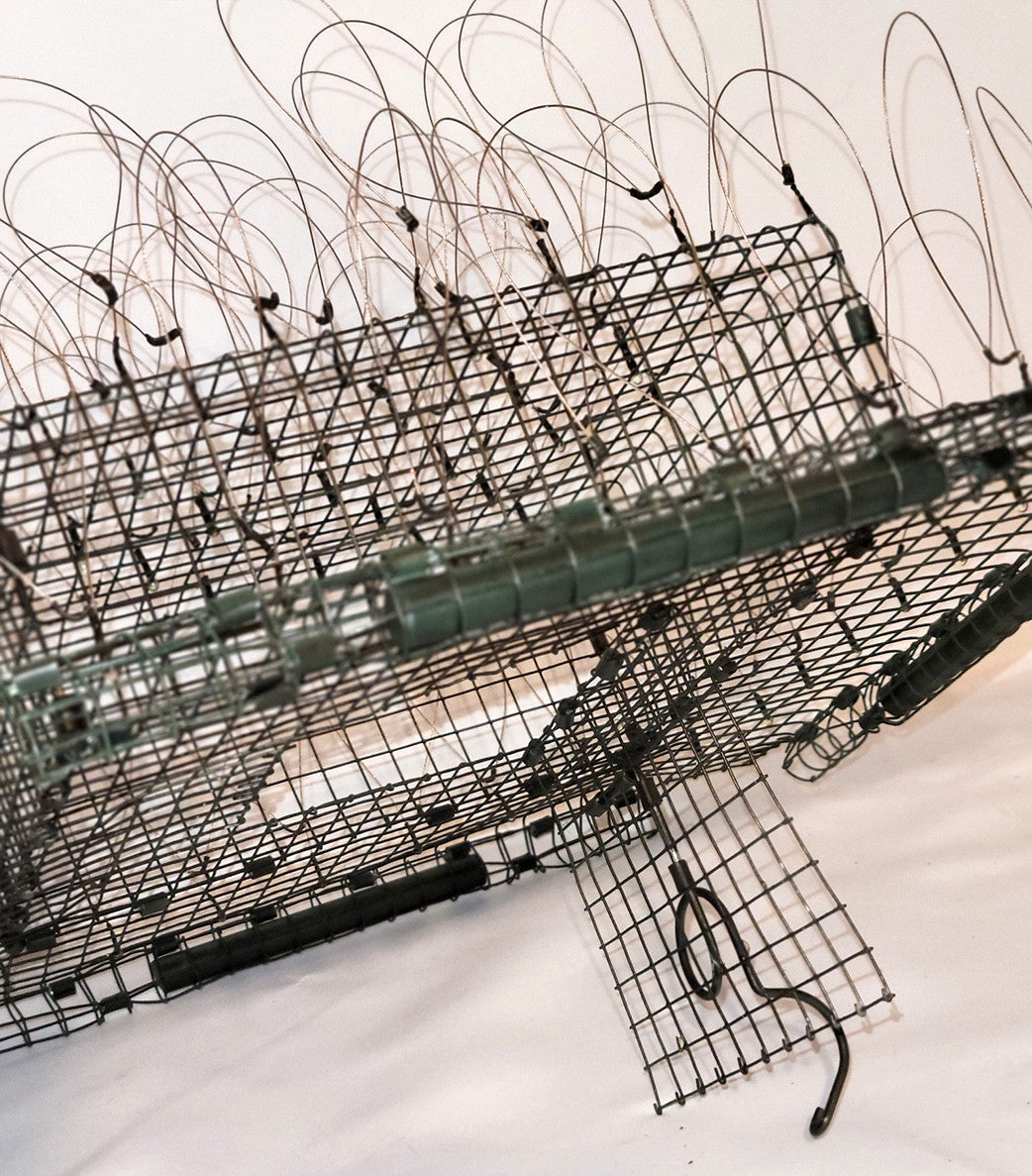 John Graham Bal-Chatri Trap (large)