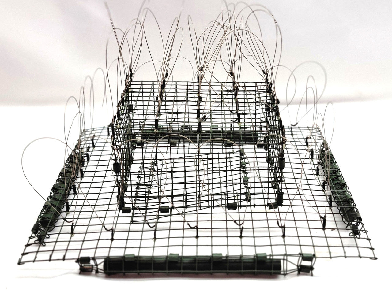 Bc Raptor Trap Dome John Graham Bal-Chatri Trap (small) – Mike Dupuy Hawk Food