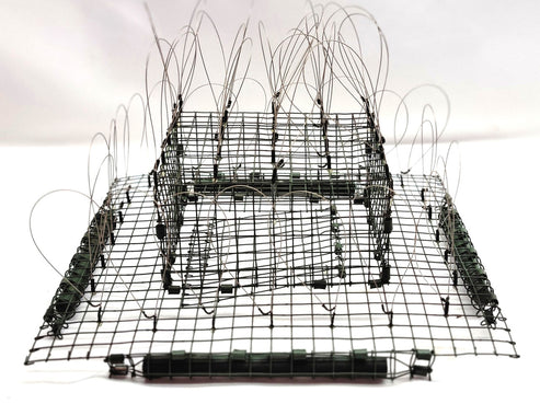 John Graham Bal-Chatri Trap (small) – Mike Dupuy Hawk Food