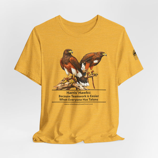Harris' Hawks - Teamwork