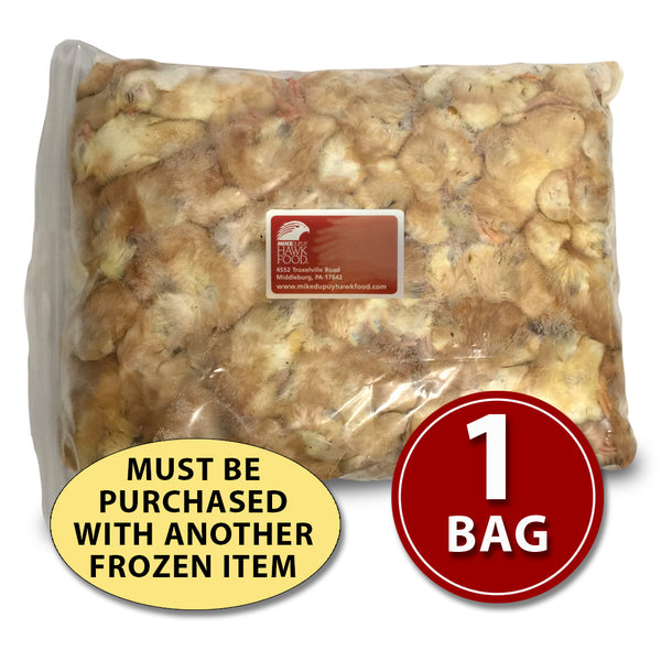 Day-Old Chicks - 1 Bag