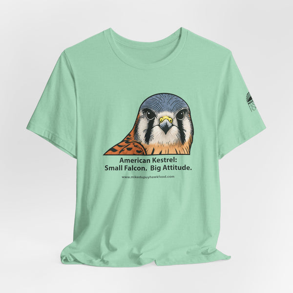 American Kestrel - Big Attitude