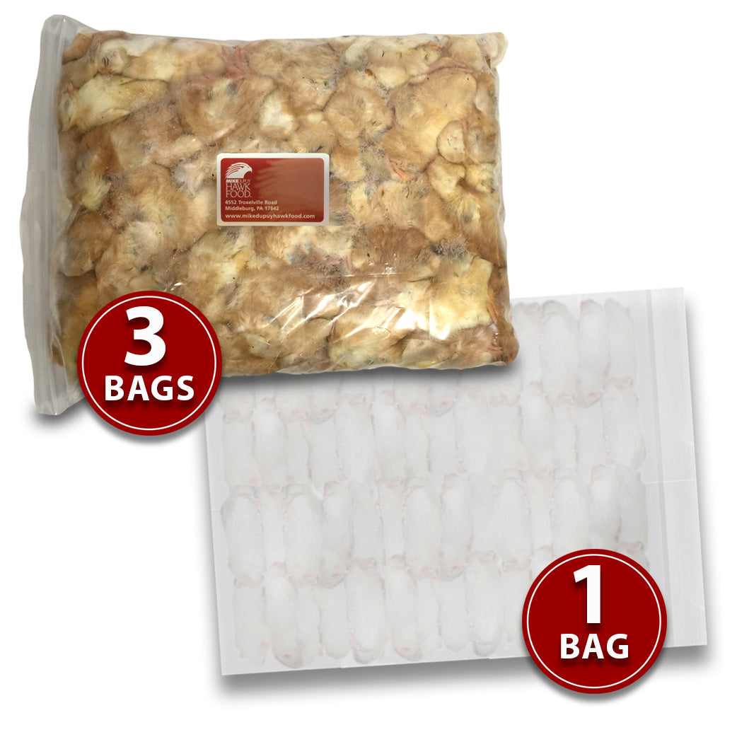 3 Bags of Chicks and 1 Bag of Mice